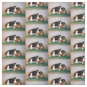 Basset Hound und Bunny Dog Kunststoffe Stoff (Muster)