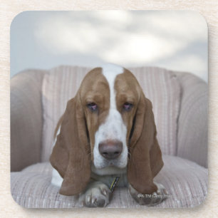 Basset Hound Untersetzer