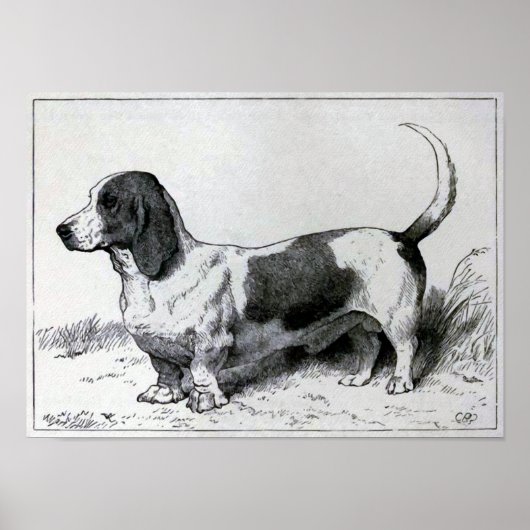 "Basset Hound" Vintage Hundeliste Poster (Vorne)