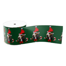 Basset Hound Weihnachten