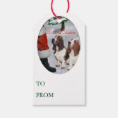 Basset Hound Weihnachtsgeschenke Tags Geschenkanhänger (Vorderseite)