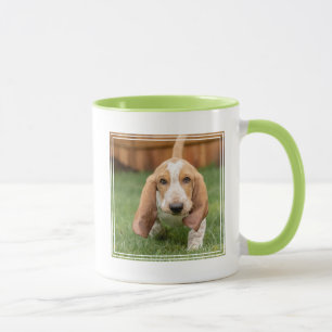 Basset Hound-Welpe beim Gehen Tasse