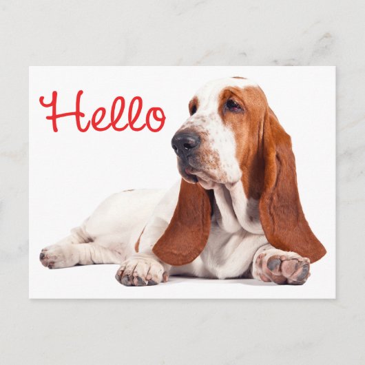 Basset Hound Welpe Hund Red Hallo Denken Sie an Si Postkarte (Vorderseite)