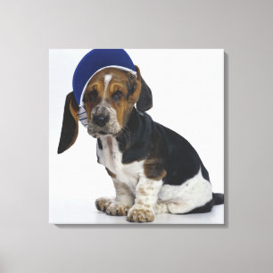 Basset-Hound-Welpe mit Visor Leinwanddruck