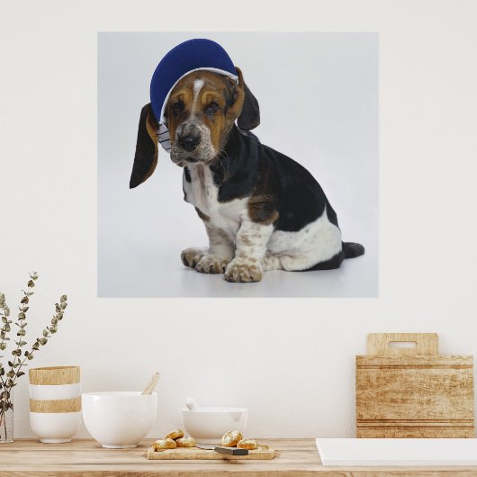 Basset-Hound-Welpe mit Visor Poster (Küche)