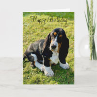 Basset Hound Welpen Hund Happy Birthday