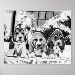 Basset Hound-Welpen-Hundeporträt Poster