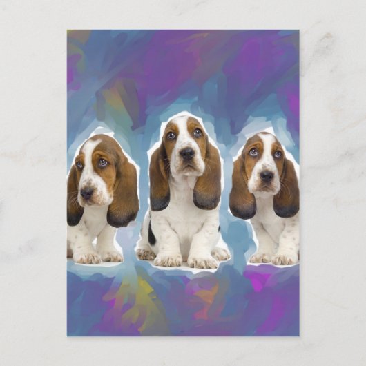 Basset Hound Welpen Postkarte (Vorderseite)