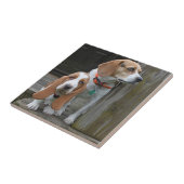 Basset Hound Welpen und Beagle Buddy Fliese (Seite)
