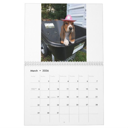 Basset Hound-Welpenkalender Kalender (Mär 2026)