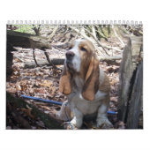 Basset Hound-Welpenkalender Kalender (Titelbild)
