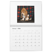 Basset Hound-Welpenkalender Kalender (Jan 2026)