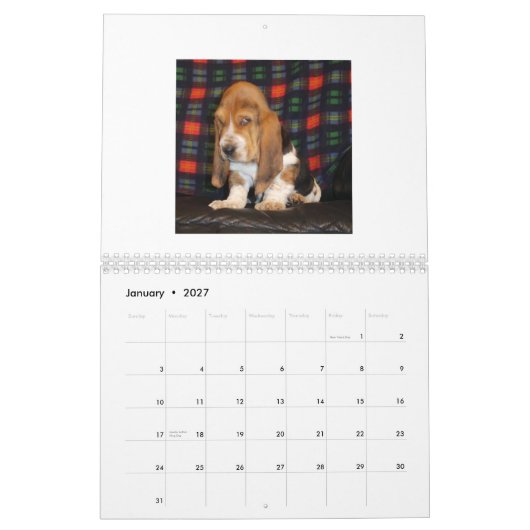 Basset Hound-Welpenkalender Kalender (Jan 2027)