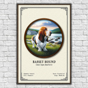 Basset Hound Zoologie-Serie Poster