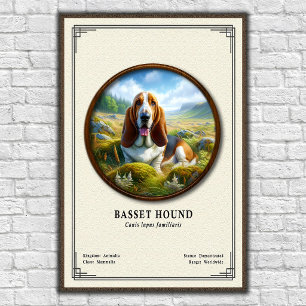 Basset Hound Zoologie-Serie Poster