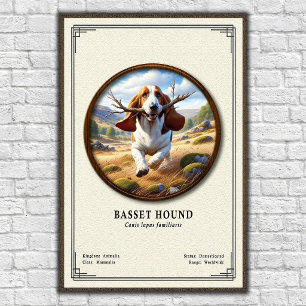 Basset Hound Zoologie-Serie Poster