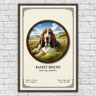 Basset Hound Zoologie-Serie Poster