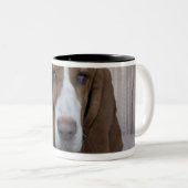 Basset Hound Zweifarbige Tasse (VorderseiteRechts)