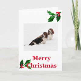 Basset Hounds in Schnee auf Weihnachtskarte. Feiertagskarte