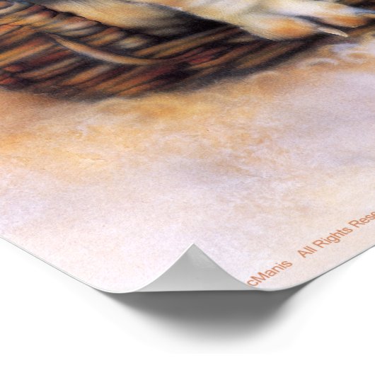 Basset Hounds Poster (Ecke)