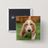 Basset Houng Puppy Walking Button (Vorne & Hinten)