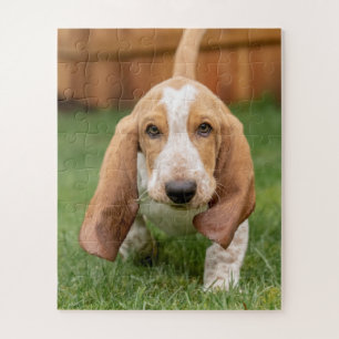 Basset Houng Welpe beim Gehen Puzzle