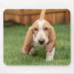 Basset Houng Welpe Walking Mousepad
