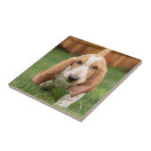 Basset Houng Welppy Walking Fliese (Seite)