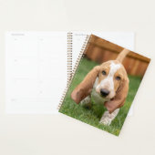 Basset Houng Welppy Walking Planer (Anzeige)