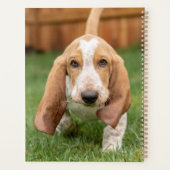 Basset Houng Welppy Walking Planer (Rückseite)