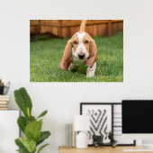 Basset Houng Welppy Walking Poster (Heimbüro)