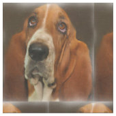 Basset Hund Hunde Rasse Gewebe Stoff (Nahaufnahme)