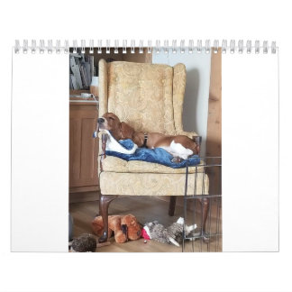 Basset-Hund-Kalender 24 Monate Kalender