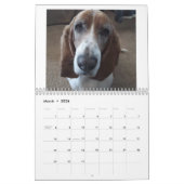 Basset-Hund-Kalender 24 Monate Kalender (Mär 2026)