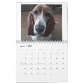Basset-Hund-Kalender 24 Monate Kalender (Mär 2027)