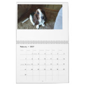 Basset-Hund-Kalender 24 Monate Kalender (Feb 2027)