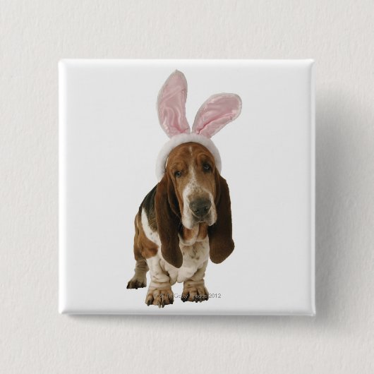 Basset-Hund mit sonnigen Ohren Button (Vorderseite)