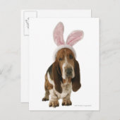 Basset-Hund mit sonnigen Ohren Postkarte (Vorne/Hinten)