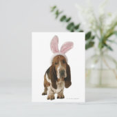 Basset-Hund mit sonnigen Ohren Postkarte (Stehend Vorderseite)