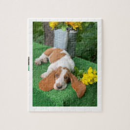 Basset-Hund-Puzzle Puzzle