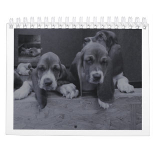 Basset-Hundekalender Kalender