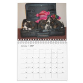 Basset-Hundekalender Kalender (Jan 2027)