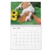 Basset-Hundekalender Kalender (Mär 2026)