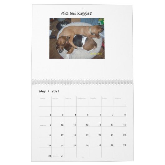 Basset-Hundekalender Kalender (Mai 2021)