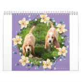 Basset-Hundekalender Kalender (Titelbild)