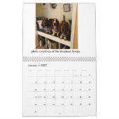 Basset-Hundekalender Kalender (Jan 2027)