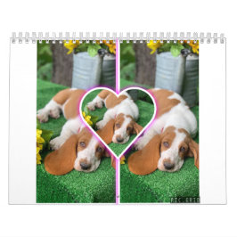 Basset-Hundekalender Kalender