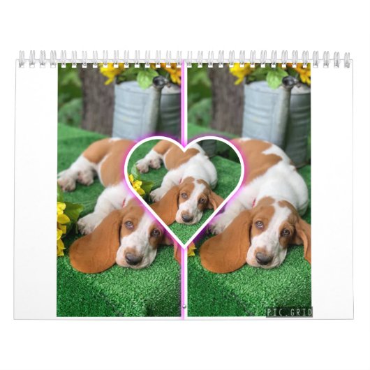 Basset-Hundekalender Kalender (Titelbild)