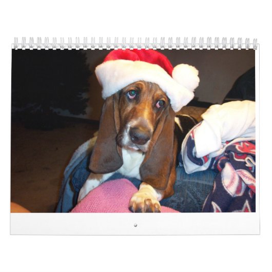 Basset-Hundekalender Kalender (Titelbild)
