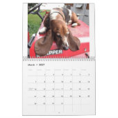 Basset-Hundekalender Kalender (Mär 2027)